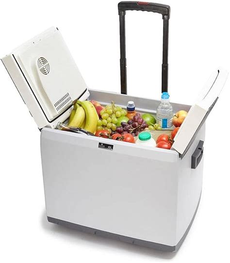 Best Portable Electric Cool Box Fridge 